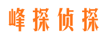 凌海外遇出轨调查取证